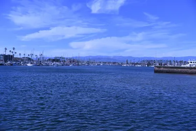 DSC_0815 (Large).JPG